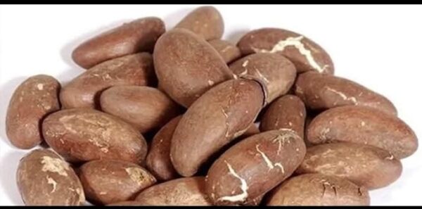 Bitter Kola Nut