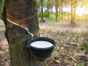 Natural Rubber Latex