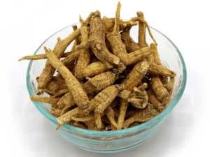 Whole Root Wisconsin American Ginseng - Size Small