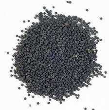 Oil Seed Rape