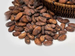 Organic Raw Cocoa Beans – 1Kg (35 oz) Natural Cacao Beans from Africa (Trinitario Cocoa)